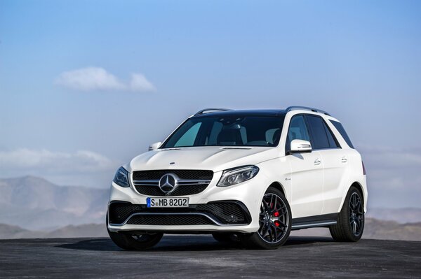 White Mercedes NV off-road, front view