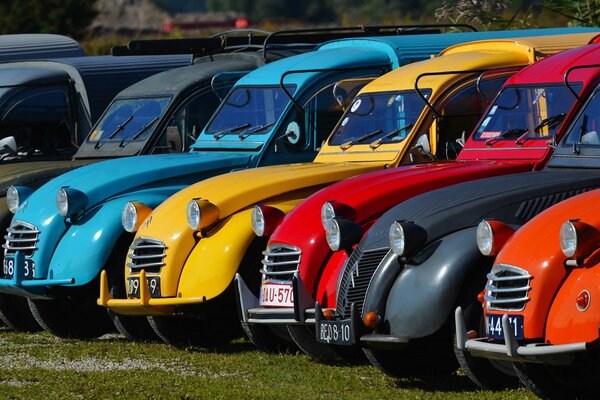 Colorful bright retro citroens