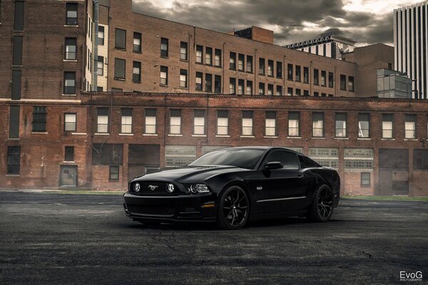 Luxury mustang in industrial style