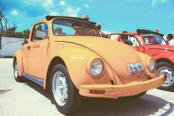 Copia Vintage, amarillo coche vw escarabajo