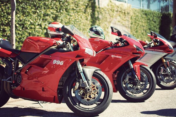 Red sports bikes exposés au défilé