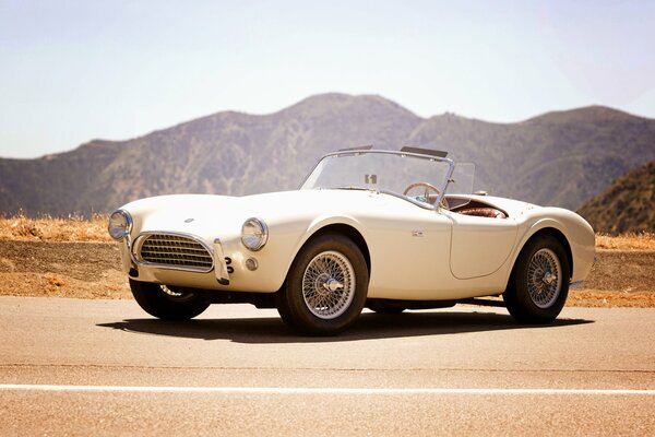 Shelby 1963 sur la route de montagne