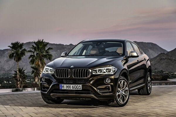 BMW x6 car stands on the background of a mountain