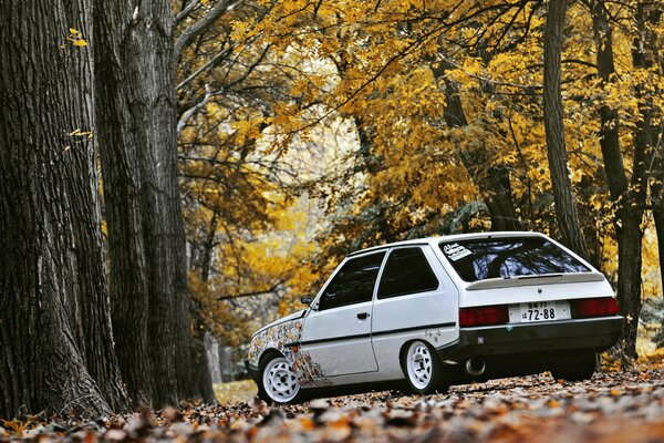 Einsamer Herbst tavriya geht im Park spazieren