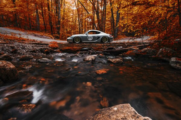 Silberner Porsche Cayman auf dem Hintergrund des herbstlichen orangefarbenen Waldes