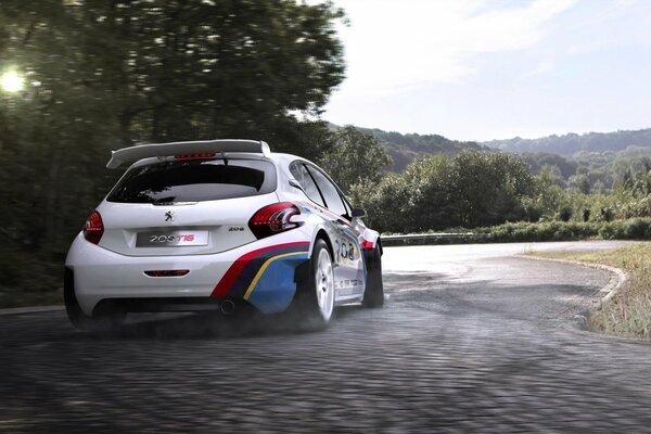 Peugeot 208 T16 coche deportivo corriendo por la carretera