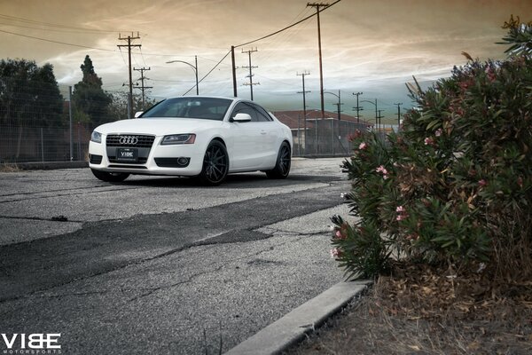 Coche blanco audi, A5 en la carretera