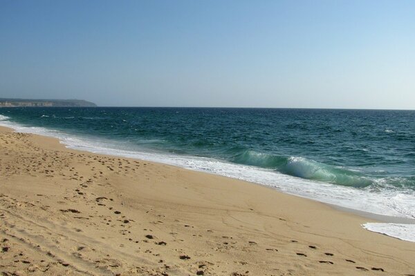 Foamy waves on the seashore