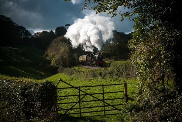 La locomotora viaja en la naturaleza y deja salir el humo