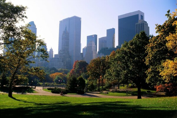 Parc vert dans la ville américaine-New York