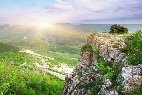 Maravilloso valle con roca y bosque