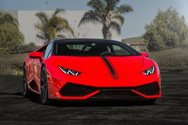 Exquisiter Lamborghini Verona für dich