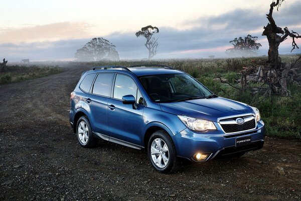 Subaru Forester azul brillante en la carretera