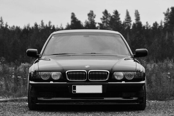 Black BMW car on a dark background of trees