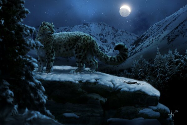 Leopardo delle nevi di notte in montagna