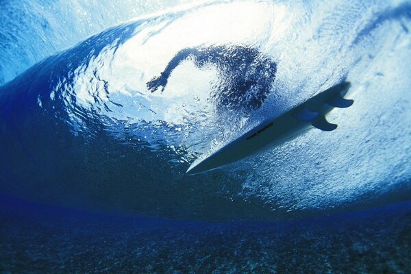 Surf sous l eau. Un spectacle à couper le souffle
