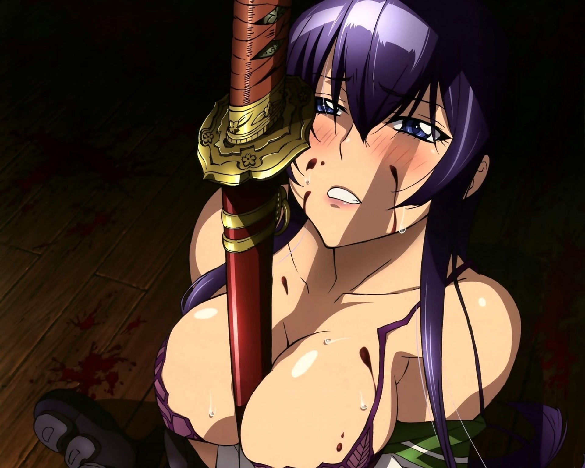 high school of the dead saeko katana piersi spojrzenie samuraj dziewczyny-a twarz-a oczy-a portret-a rysunki piersi - a erotyka-a samuraj-a