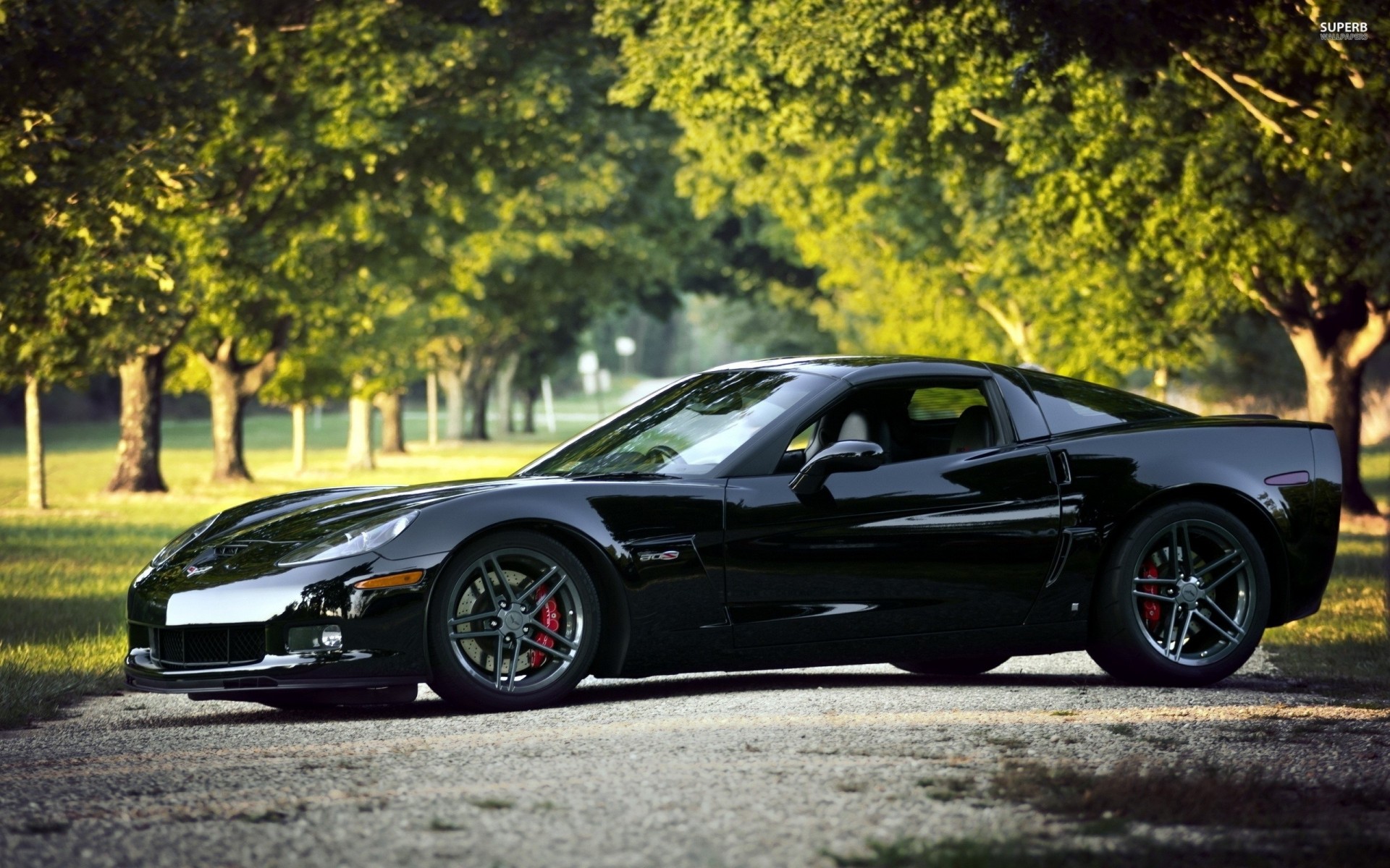 auto natura chevrolet corvette nero