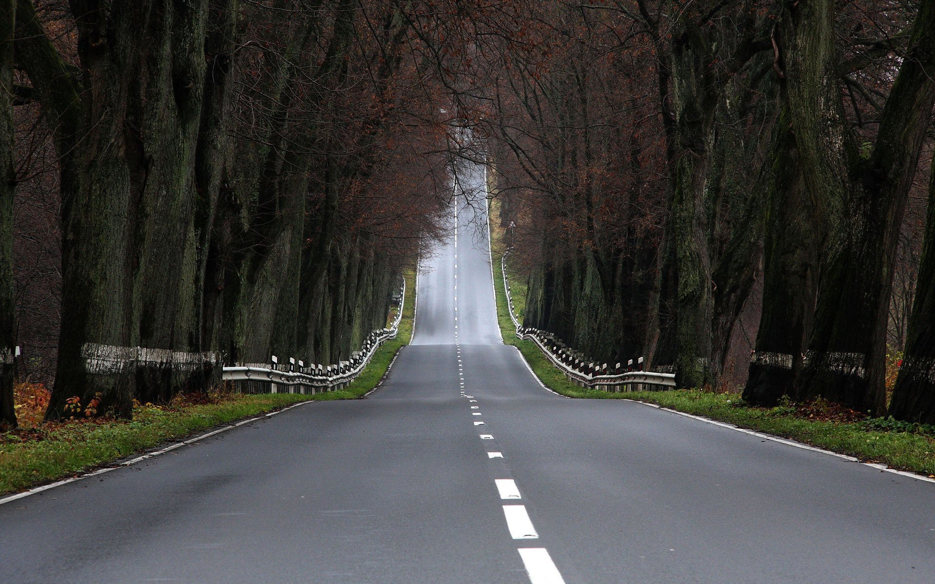 landscapes road roads forests trees photos rise autumn marking asphalt forest fence