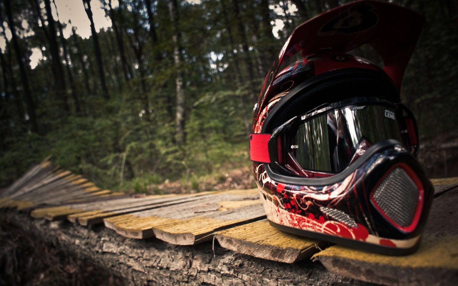 helm bergbiken wald gehweg sport extrem bretter bäume tricks makro