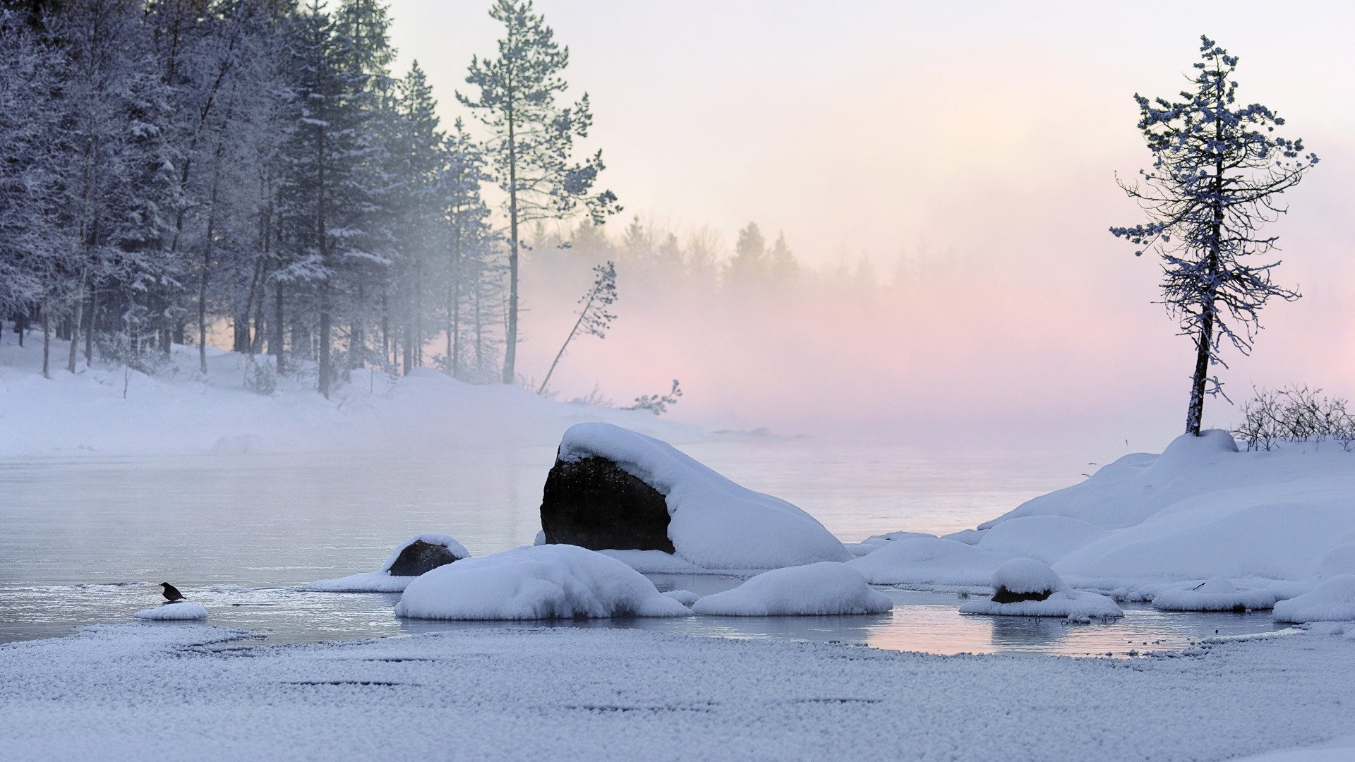 nature snowdrift pink fog snow winter cold snow forest ice melting