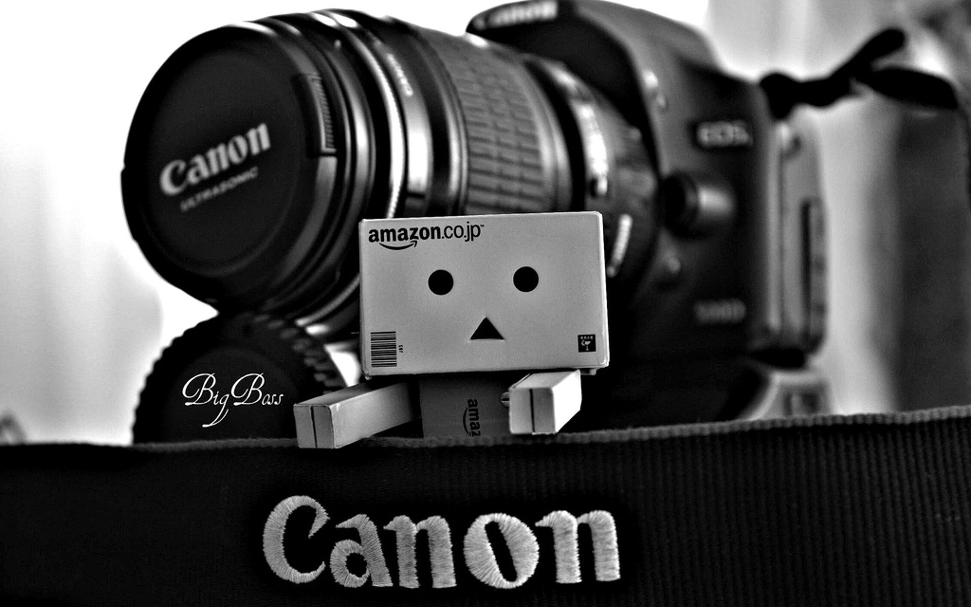 danbo canon appareil photo boîte matériel photographique photo appareils photo