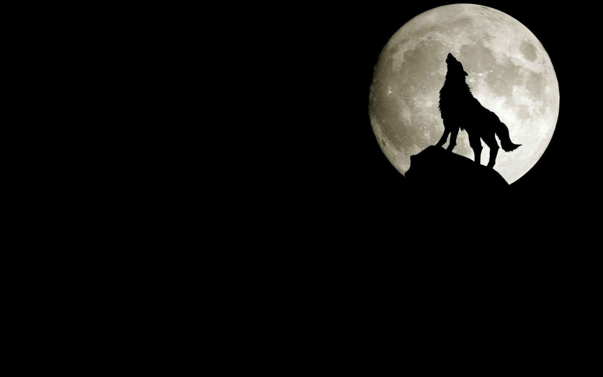 lobo minimalismo luna roca silueta aullidos animales simplicidad fondo oscuro