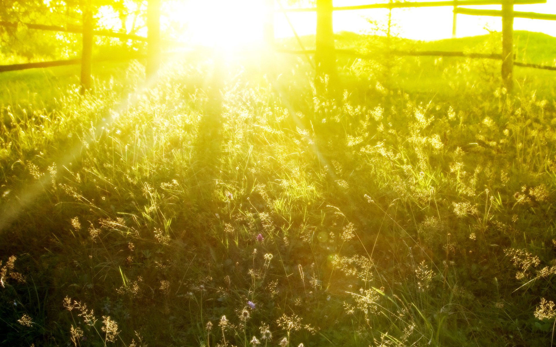 pring spring desktop pictures summer wallpapers spring wallpapers spring wallpapers beautiful photos nature grass fences morning sun light rays summer dawn