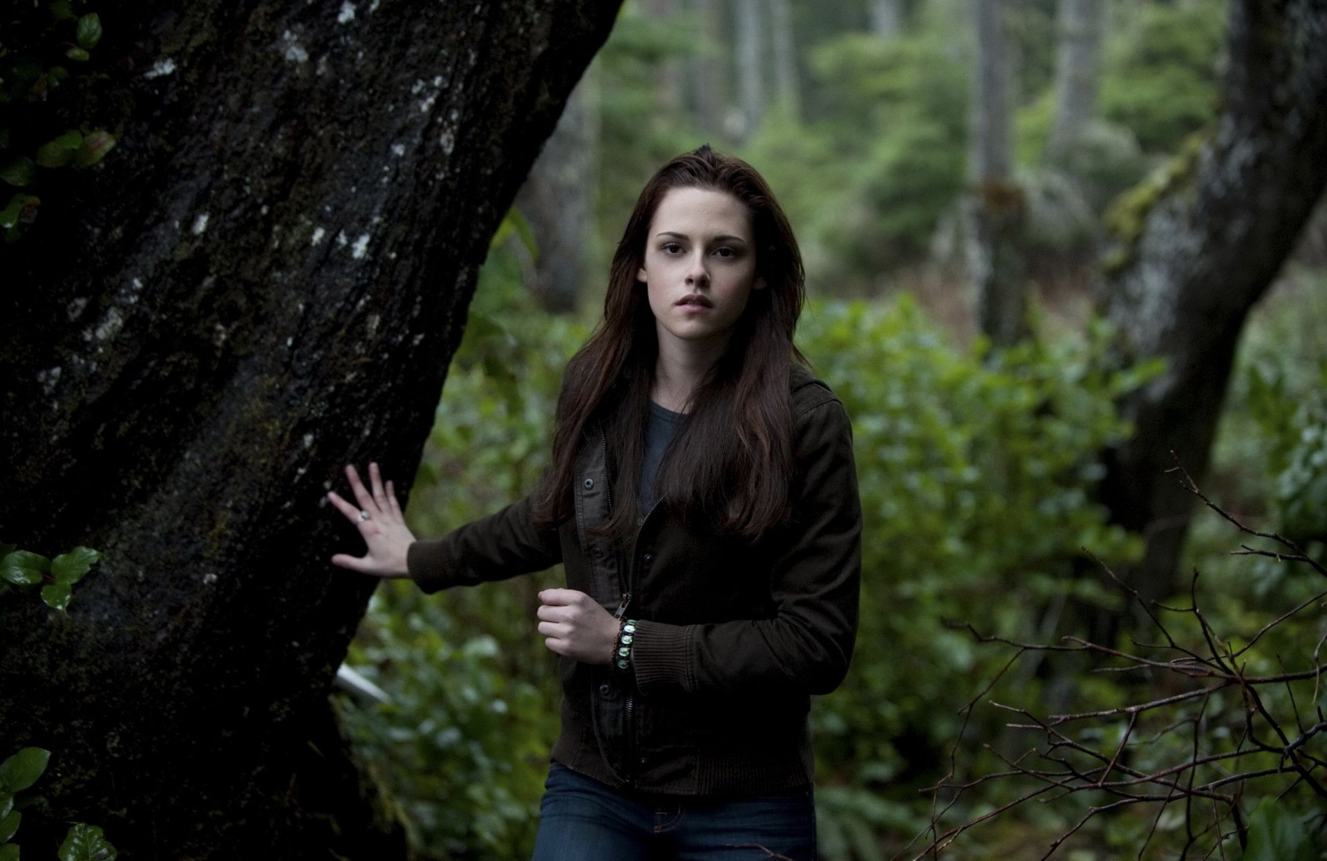 kristen stewart bella actrice cinéma crépuscule forêt femmes visage