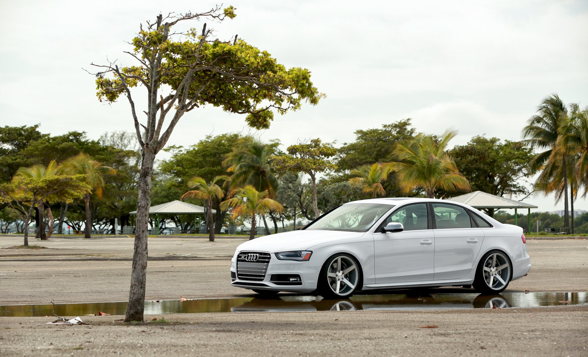 audi a4 audi blanc vossen