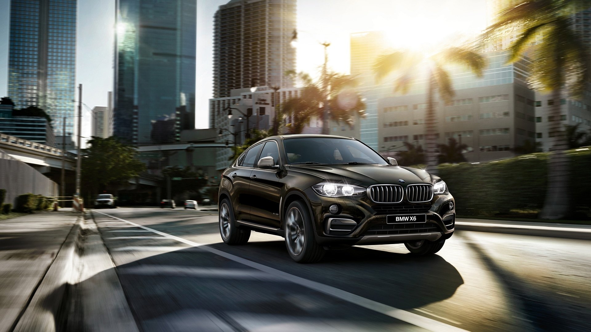 2015 bmw x6 f16 bmw