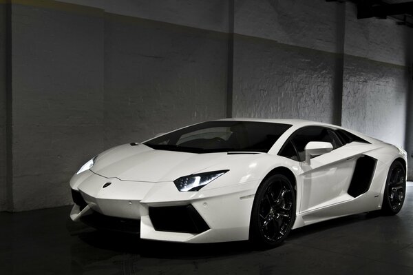 Lamborghini LP700-4 white in the garage