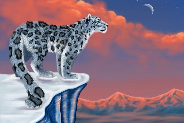 The snow leopard on the mountain fixed his gaze on the moon