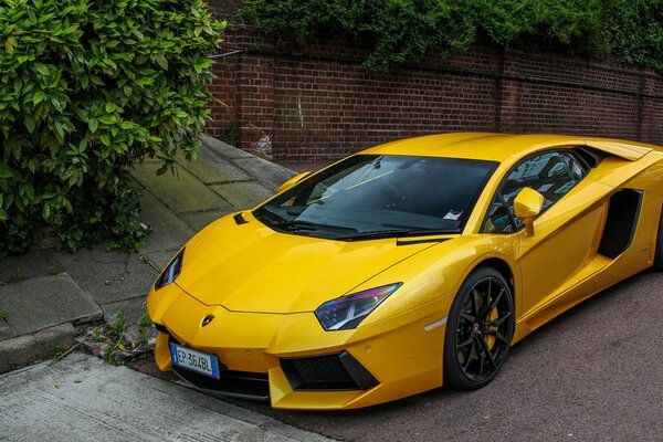 Gelber Lamborghini im Hof in der Nähe eines Privathauses