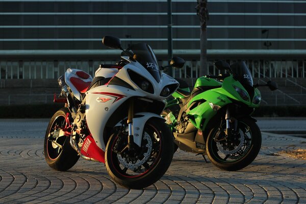 Sweet couple: White Yamaha and green Kawasaki Ninja