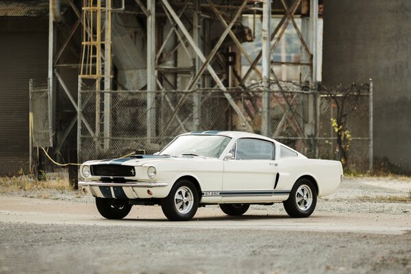 Ford Mustang gt350, 1966 Shelby bianco