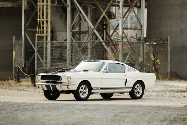 Ford Mustang gt350, 1966 biały Shelby