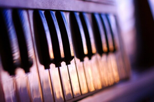 Strumento musicale: tasti del pianoforte