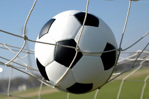 A ball in the goal, a net with meat, football