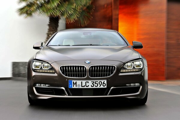 Hermoso capó del coche gris BMW Close-up