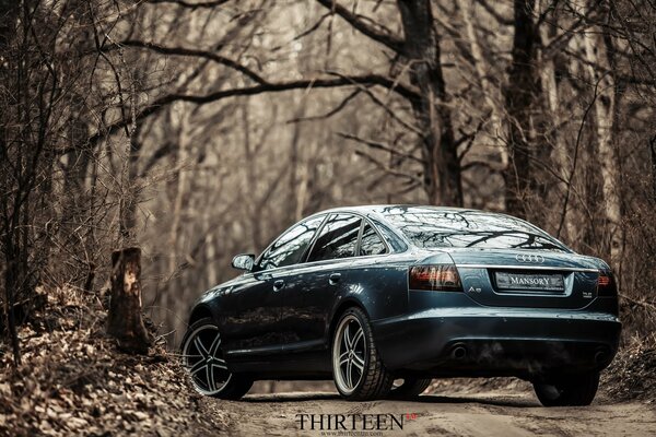 Voiture Audi dans la forêt d automne