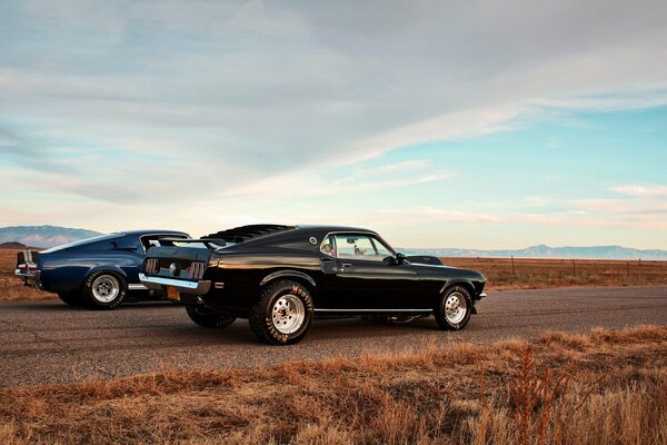 Coche de carreras Mustang en la foto