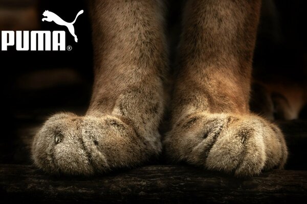 Anuncio de la marca puma con patas de animales