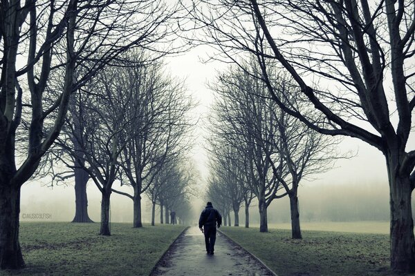 A man walks alone in an alley in the fog