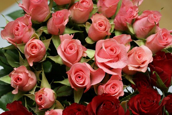 Bouquet of pink and burgundy roses