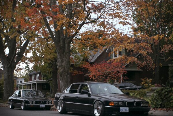 Two black cars on an autumn street