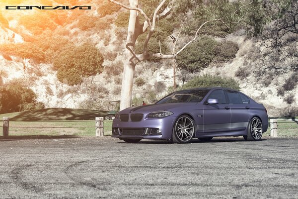 Purple matte BMW is on the farm