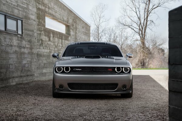 Dodge Challenger przy betonowej ścianie Sport 2015