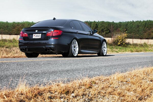 Black bmw . Sky. Trees