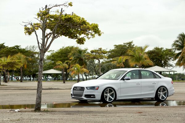 Voiture Audi blanche